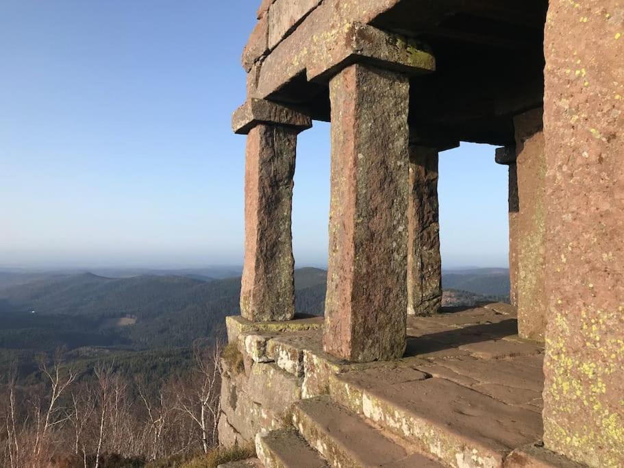 Gite Des Renards La Broque Exteriör bild
